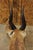 Vintage African Cape Bushbuck Taxidermy Shoulder Mount Cabin Wall Decor For Sale - Image 9 of 12
