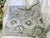 2016 Pottery Barn Jacqueline Euro Pillow Sham Pair For Sale - Image 9 of 12