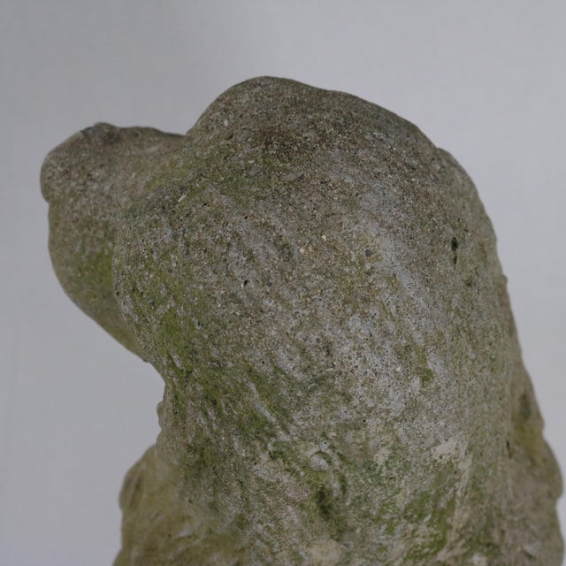 Late 20th Century Concrete Garden Cocker Spaniel Dog Statue For Sale - Image 10 of 11