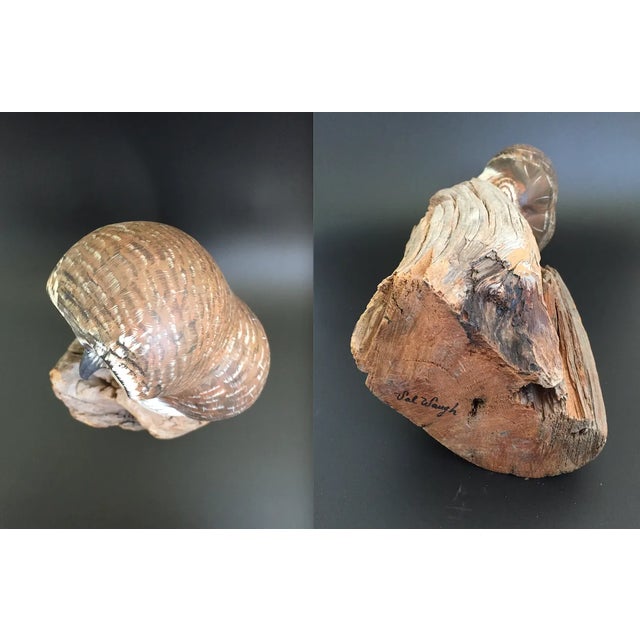 Brown Vintage Life Size Boreal Owl on Tree Trunk Decoy by Val Waugh For Sale - Image 8 of 13