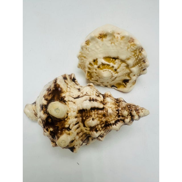 1960s Vintage Ceramic Shells, a Pair For Sale - Image 5 of 7
