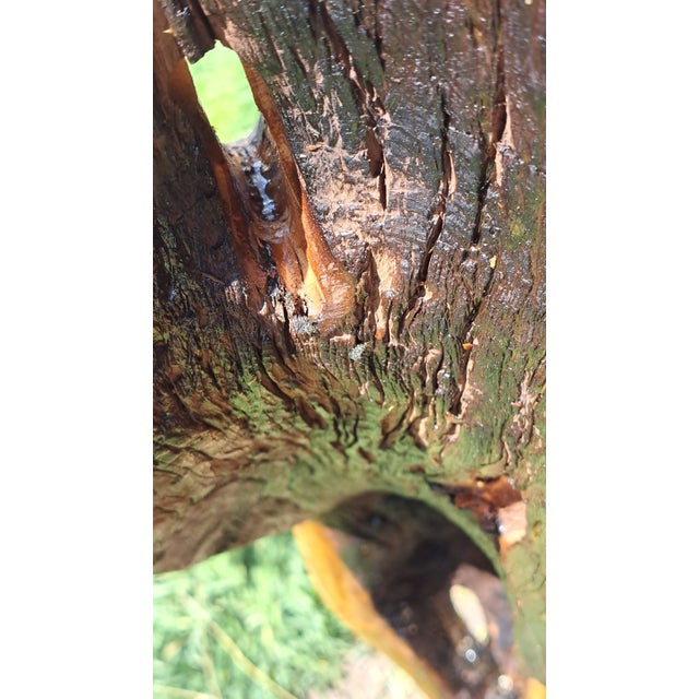 Hand Carved Wood Pedestal For Sale - Image 6 of 12