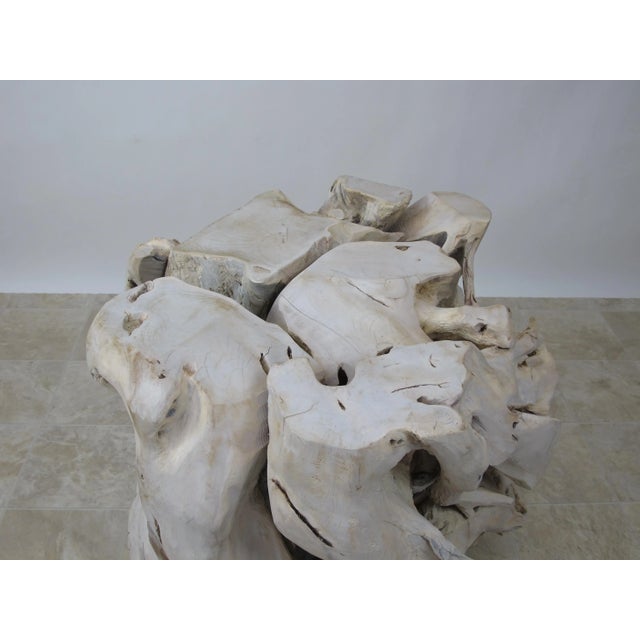 Contemporary Organic Modern Teak Root Sculpture For Sale - Image 9 of 10