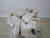 Contemporary Organic Modern Teak Root Sculpture For Sale - Image 9 of 10