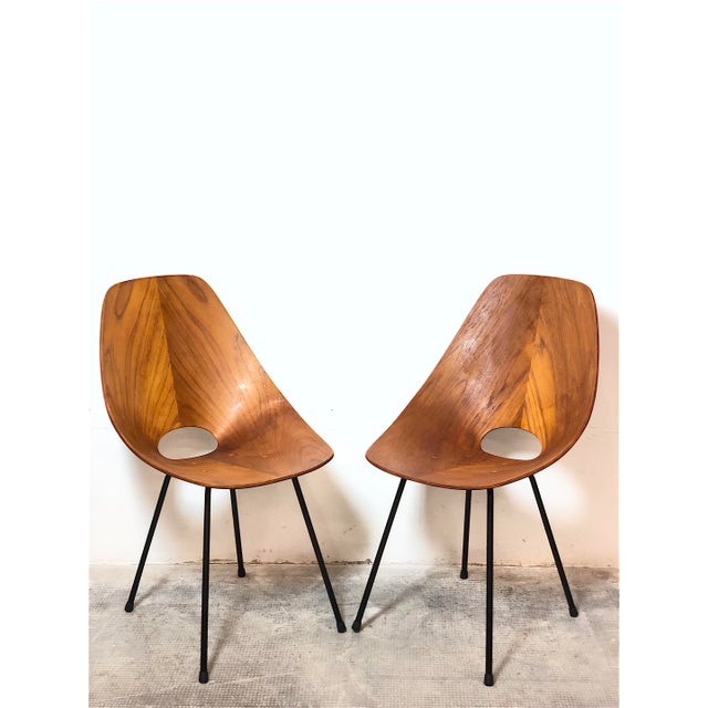 Curved Plywood Chairs by Vittorio Nobili, Italy, 1950s, Set of 2 For Sale - Image 6 of 18