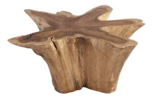 Natural Wood Color Organic Teak Root Coffee Table 69