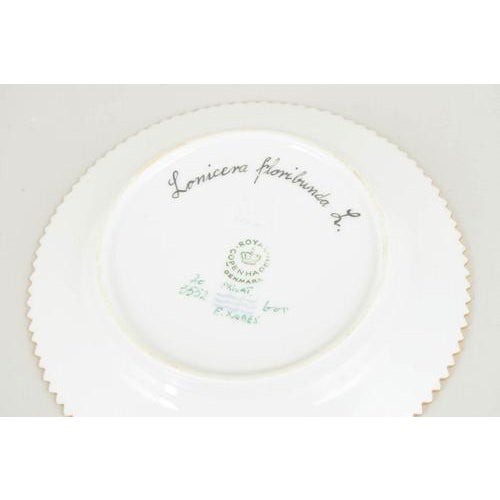 Flora Danica Side Plate in Porcelain from Royal Copenhagen, 1964 For Sale - Image 4 of 5