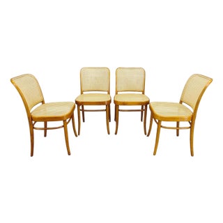 No. 811 Bentwood Chairs in the style of Hoffmann for TON, 1990s, Set of 4 For Sale