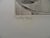 Mily Possoz, Nature morte aux fruits, Etching For Sale - Image 6 of 7