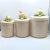 1982 Fitz and Floyd Orchard Figurative Hand-Painted Canisters With Fruit Leaves Flowers- Set of 3 For Sale - Image 10 of 11