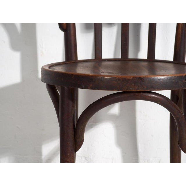 Chairs with Armrests from Thonet, 1920s, Set of 4 For Sale - Image 9 of 18