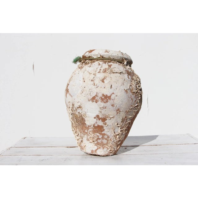 19th Century Antique Terracotta Octopus Trap Undersea Pot For Sale - Image 13 of 13