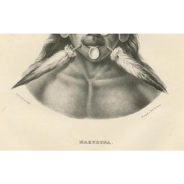 Karl Joseph Brodtmann, Member of the Maxuruna Amazon Tribe, 1836, Paper For Sale - Image 3 of 7