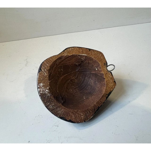 Grotesque Monk Wall Candle Head in Plaster, Italy, 1890s For Sale - Image 5 of 6