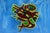 Glass 20th Century Art Glass Plaque with High-Fired Geometric Decoration by Umberto Mastroianni, 1980s For Sale - Image 7 of 16