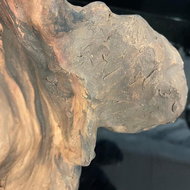 Bonobo Monkey Head Sculpture in Terracotta, 2019 For Sale - Image 18 of 18