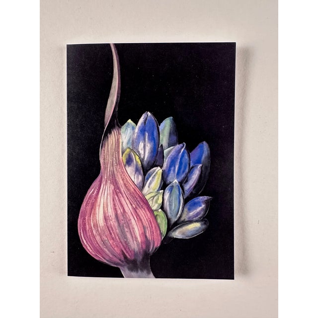 This Is a Set of 6 Botanical Folded Note Cards Printed From My Pastel Drawings of Plants and Flowers For Sale In New York - Image 6 of 10