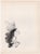 Georges Braque (1885-1954) Ivy (front) and Flower Vase (back) Two Original Lithographs Year: 1955 Printer: Mourlot Frères...