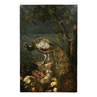 Baldassarre de Caro, Still Life with Peacock, 1700, Oil on Canvas For Sale