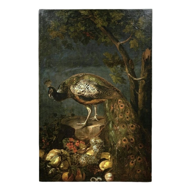 Baldassarre de Caro, Still Life with Peacock, 1700, Oil on Canvas For Sale