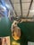 Animal Skin 1970s Large Taxidermy Kudu Head With Curved Horns For Sale - Image 7 of 8