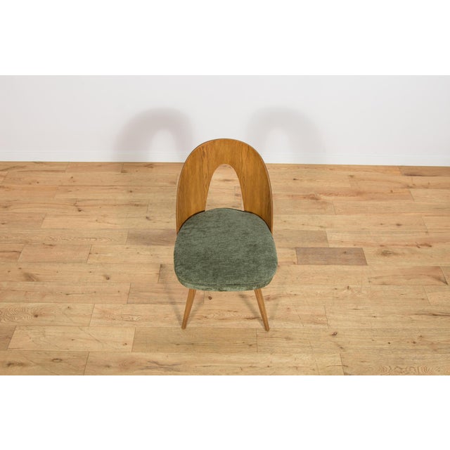 Green Mid-Century Modern Ash Veneer Dining Chairs by Antonín Šuman for Mier Topoľčany, Czechoslovakia, 1960s, Set of 4 For Sale - Image 8 of 18