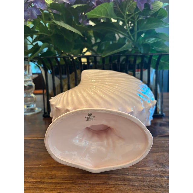 Light Pink Vintage Mid-Century Wedgwood "Alpine Pink" Nautilus Shell Footed Centerpiece Vase For Sale - Image 8 of 9