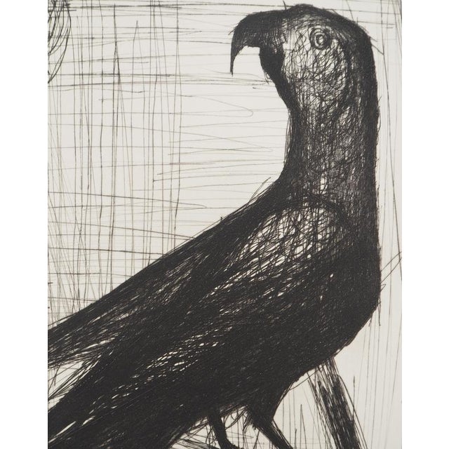 Bernard Buffet, The Parrot, Original Engraving For Sale - Image 4 of 5