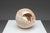 Shell Sculpture with Orange Core, 1970s, Ceramic For Sale - Image 6 of 17