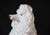 Ceramic Vintage Regency White Glazed Ceramic Sitting Poodle, Italy 1960's For Sale - Image 7 of 17