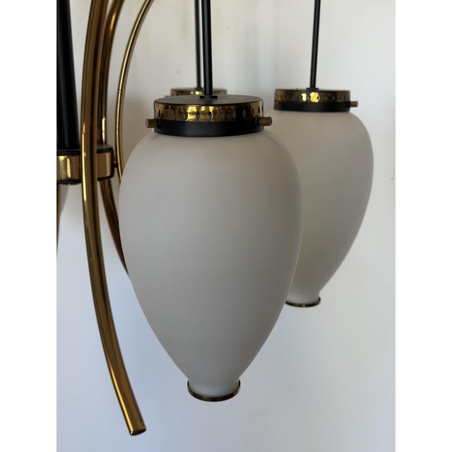 Mid-Century Modern Six-Light Chandelier with White Opaline Diffusers by Bruno Gatta for Stilnovo, 1950 For Sale - Image 3 of 12
