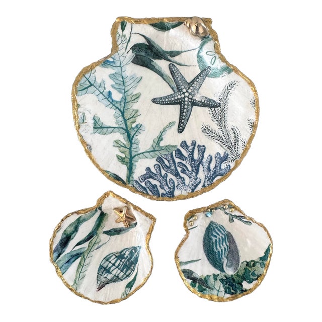 Costal Seashell Trinket Dishes Set of 3. For Sale