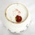 Republic Period Chinese Porcelain Scholar's Water Coupe Jar Foo Dog Calligraphy For Sale - Image 10 of 11