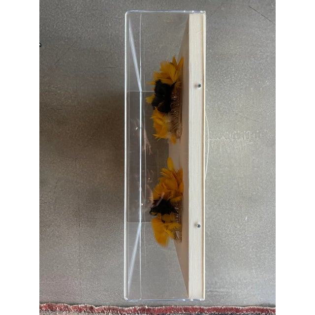 White Vintage Mid-Century Urubu-Ka’apor Feather Armbands in Museum Acrylic Case For Sale - Image 8 of 12