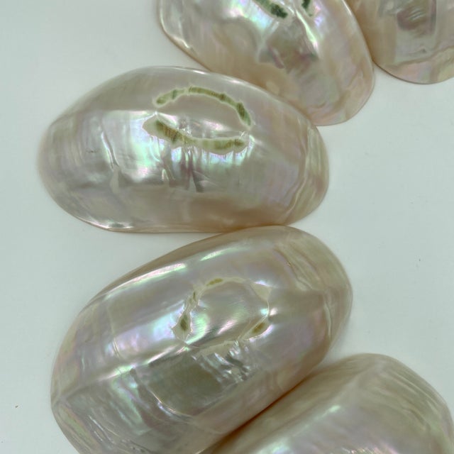 Late 20th Century Late 20th Century Caviar Mother of Pearl Bowls - 12 pcs For Sale - Image 5 of 12