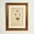 Charming group on nine hand colored botanical prints taken from a book or folio with Latin genius and species. Presented...