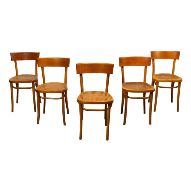 Mid to Late 20th Century Bauhaus Beech Bentwood Dining Chairs W/Cane Seats by Thonet Set of 5 For Sale