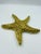 Figurative Mid 20th Century Solid Brass Starfish For Sale - Image 3 of 12
