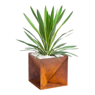 Trey Jones Studio Weathering Steel Origami Planter