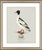 Not Yet Made - Made To Order William Lewin 1789 Waterbirds Fine Art Gallery Board Print - The Goosander For Sale - Image 5 of 11