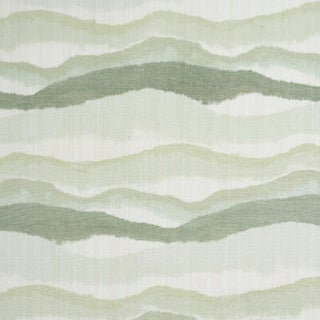 Schumacher Chandler Warp Print Fabric In Eucalyptus For Sale