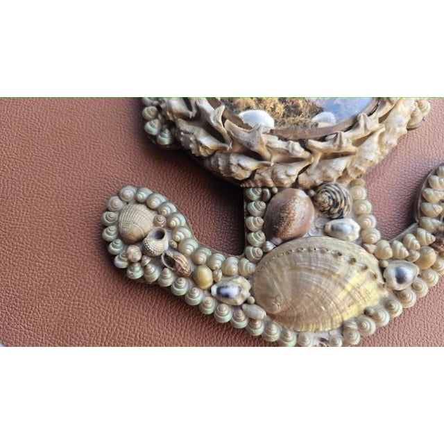 Victorian Anchor Seashell Maritime Diorama in Beech and Glass For Sale - Image 6 of 10