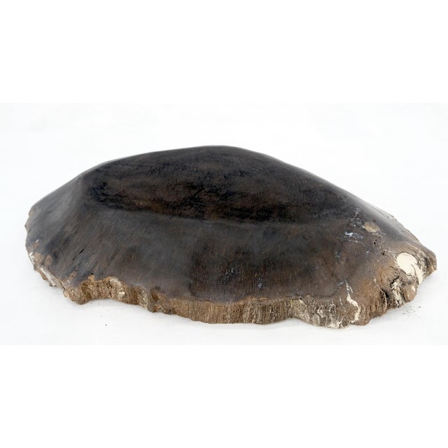 Petrified Wood Heart Shape Solid Black Elongated Bowl Dish Large Plate Ashtray For Sale - Image 6 of 8