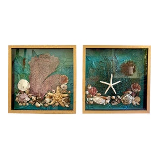 Vintage Seashell Collage Shadow Boxes -a Pair For Sale