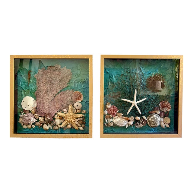 Vintage Seashell Collage Shadow Boxes -a Pair For Sale