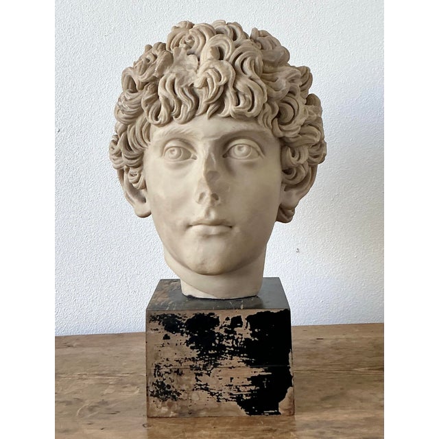 Vintage Boho Cast Marble Bust of Marcus Aurelius For Sale - Image 4 of 12
