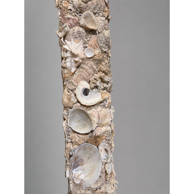 Early 21st Century Monumental Coastal Boho Grotto Seashell Coral Oyster Shellwork Mirror 6' X 4' For Sale - Image 5 of 9