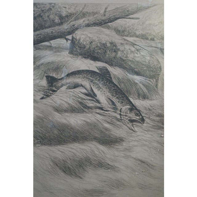 Late 19th Century Antique William De Montagne Cary Grouse Trout Fly Fishing Triptych Etching 25" For Sale - Image 5 of 12