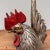 Beautiful 'Okimono' set of a rooster with hen. The intricately detailed decorative set is made of metal (brass) and the...