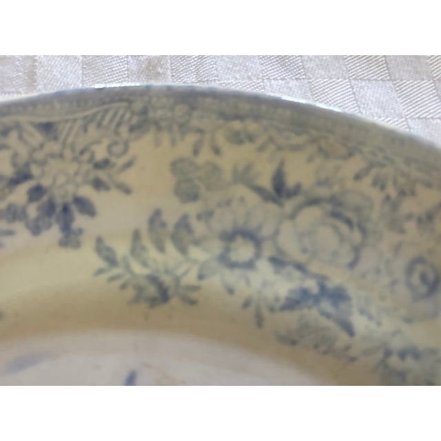 Cornflower Blue Mid 19th Century Asiatic Pheasant Dinner Plate For Sale - Image 8 of 12